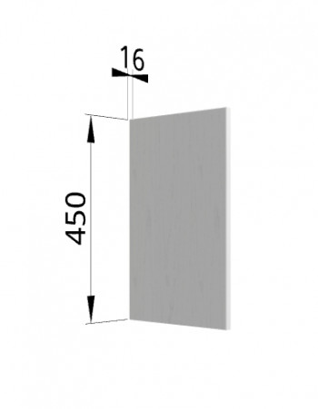 Панель торцевая (для шкафа горизонтального высокого) ВПГ Ройс (Графит софт) в Мохнатом Логу - mohnatyj-log.mebel54.com | фото