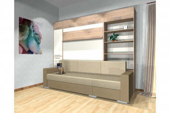 Шкаф-кровать с диваном Каролина в Мохнатом Логу - mohnatyj-log.mebel54.com | фото